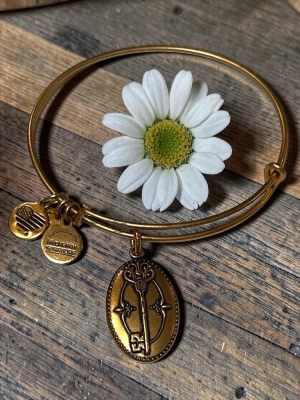 🪷 Alex and Ani Key To Life Expandable Rafaelian Bangle Bracelet